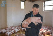 Schwein gehabt? Von der Würde unserer Nutztiere | Bild 1